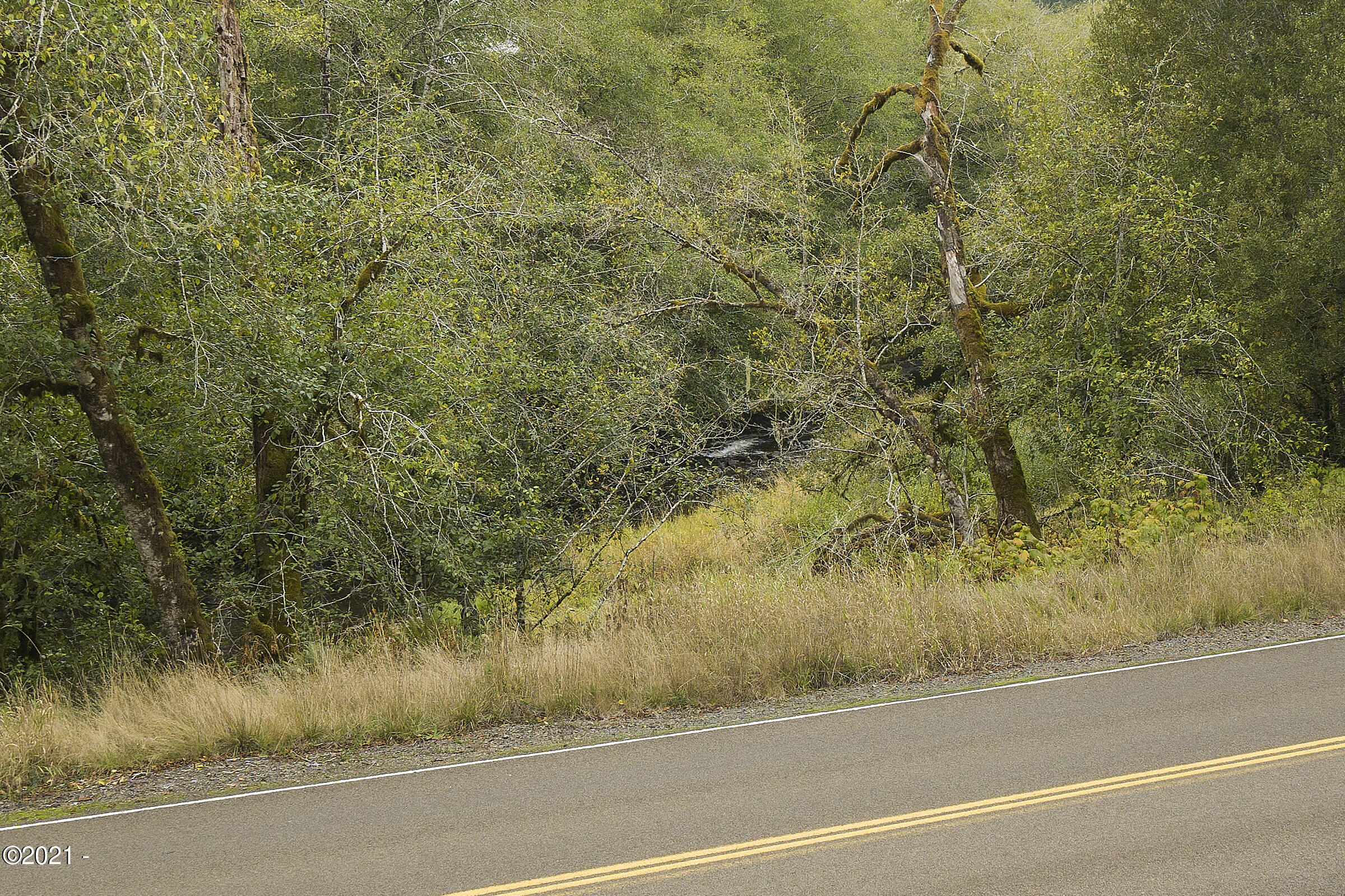 301 Upper Nestucca River Road Beaver, OR 97108 - Photo 3 of 14 DSC07388