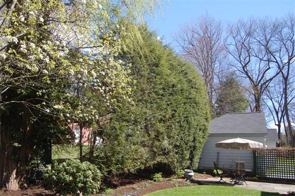 15 Dexter Road Lexington, MA 02420 - Photo 24 of 30