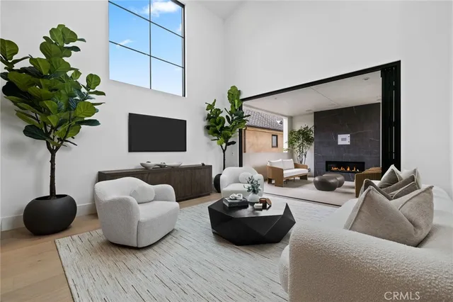 a living room with furniture potted plant and a flat screen tv