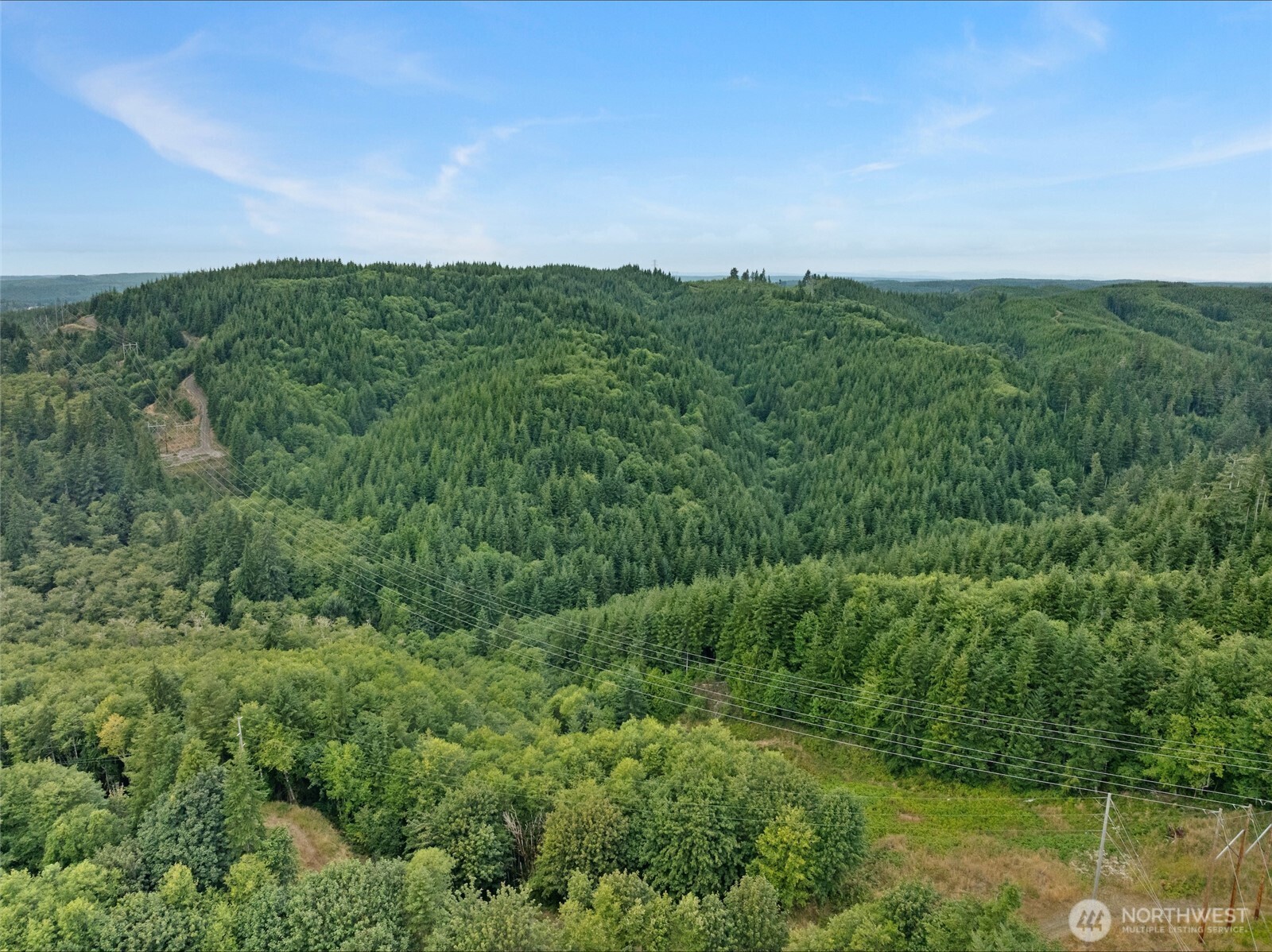 000 Copland Road Aberdeen, WA 98520 - Photo 2 of 5 a view of a lush green outdoor space with a lake view and mountain view