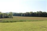 4385 Piney Grove Road Nancy, KY 42544 - Photo 14 of 19 Additional Photo