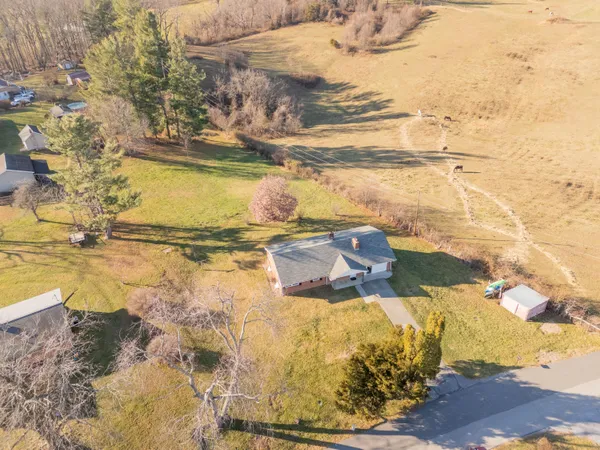 a view of a yard