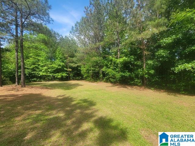 381 Gilham Road Roanoke, AL 36274 - Photo 2 of 13