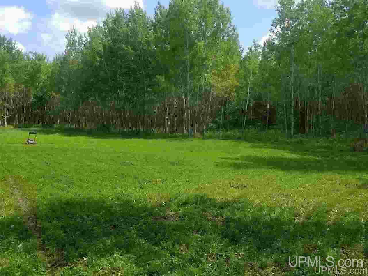 40-ac Parks Farm Road Iron River, MI 49935 - Photo 6 of 20