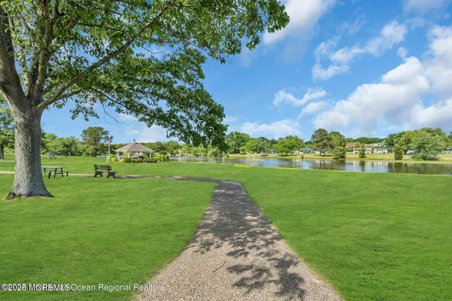 a view of a park with large trees