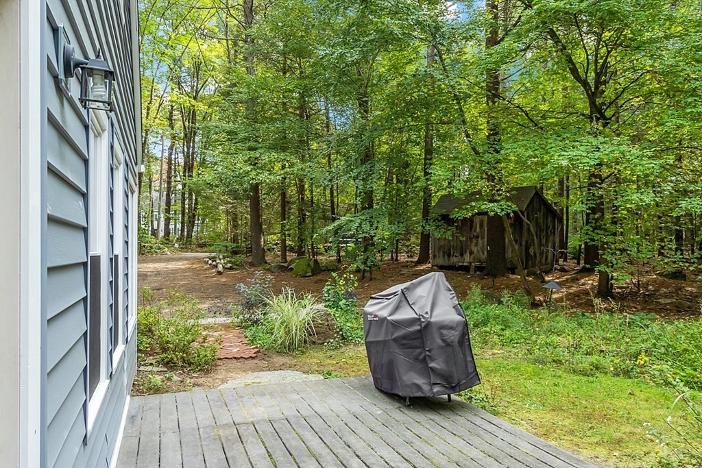 444 Old Dana Road Barre, MA 01005 - Photo 35 of 39 a view of backyard with green space
