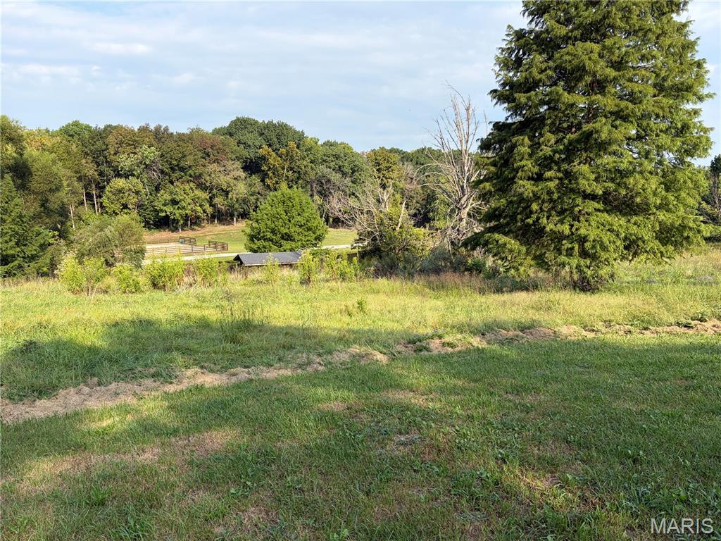 2161 Young Road Pacific, MO 63069 - Photo 8 of 22 Gallery Image 8