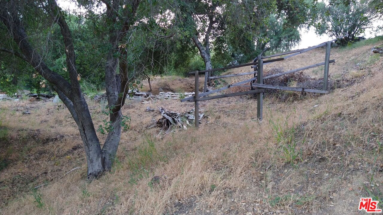 21190 Summit Road Topanga, CA 90290 - Photo 11 of 17 a view of a dry yard with trees