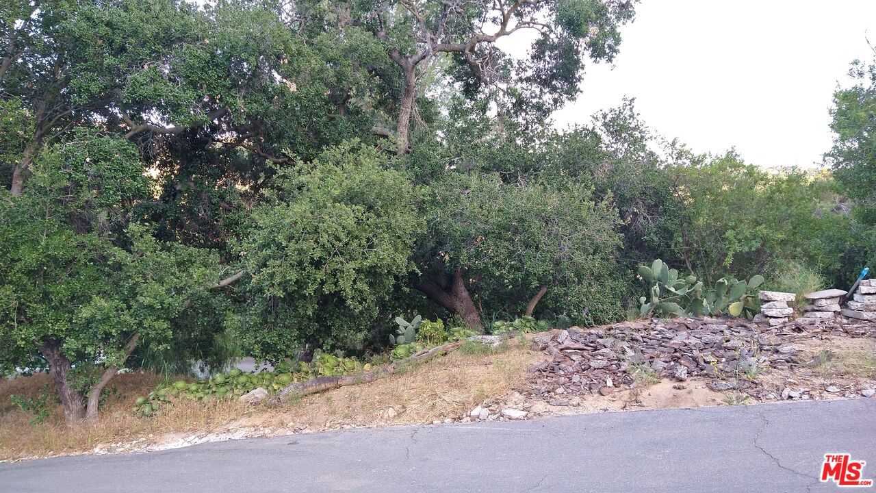 21190 Summit Road Topanga, CA 90290 - Photo 2 of 17 a view of a forest filled with trees