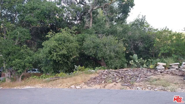 a view of backyard with green space