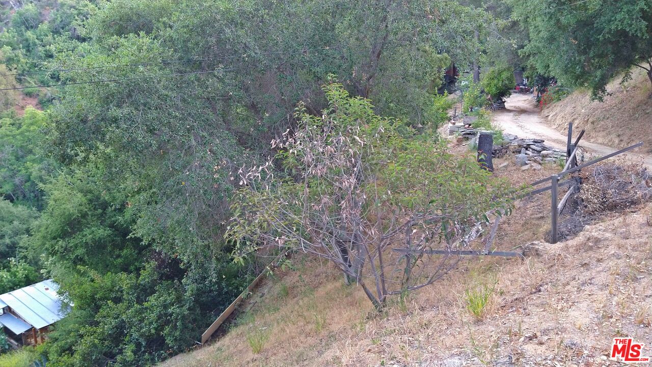 21190 Summit Road Topanga, CA 90290 - Photo 6 of 17 a backyard of a house with lots of green space