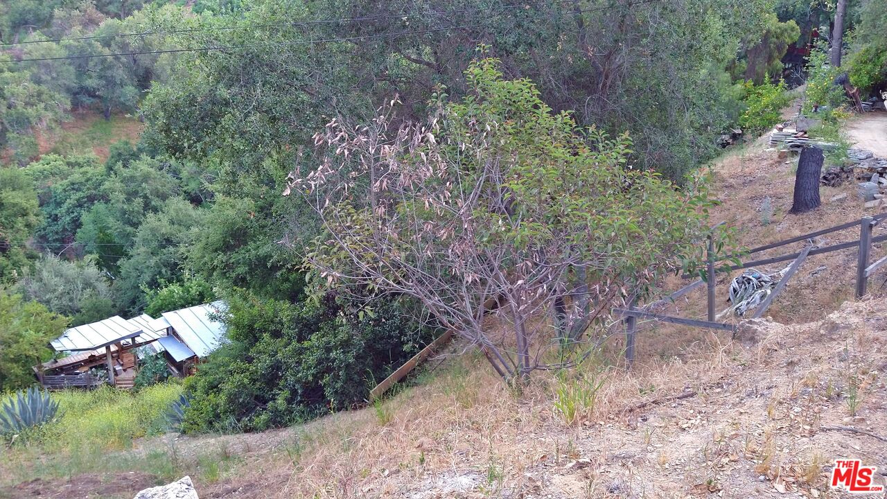 21190 Summit Road Topanga, CA 90290 - Photo 7 of 17 a view of a tree in a yard