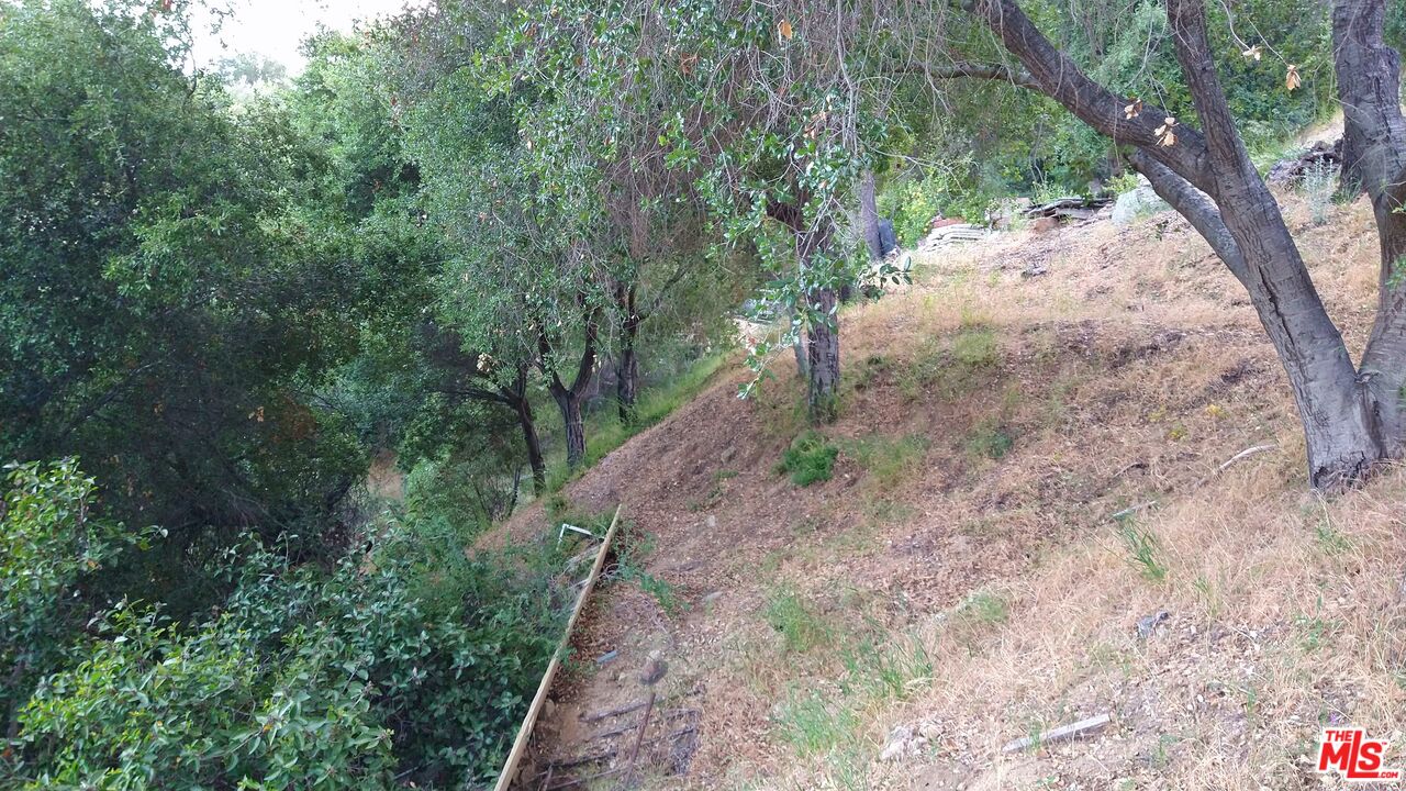 21190 Summit Road Topanga, CA 90290 - Photo 10 of 17 a view of a yard with plants and trees