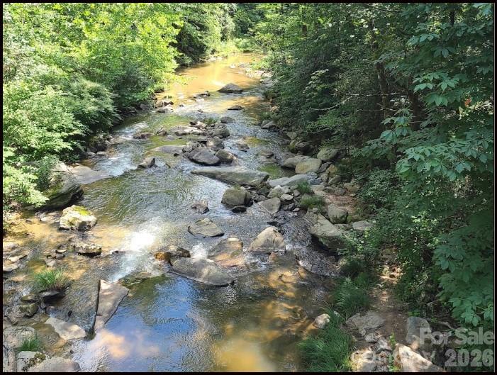 5.64-acres Big Hungry Road Flat Rock, NC 28731 - Photo 7 of 14