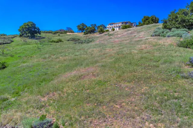 a view of a yard with a garden