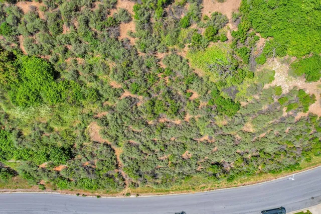 a view of a yard with plants