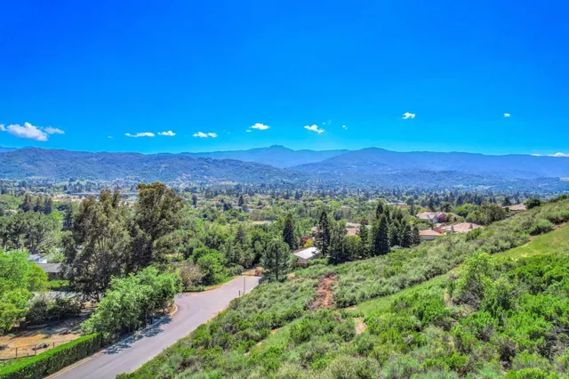 a view of a big yard with large trees