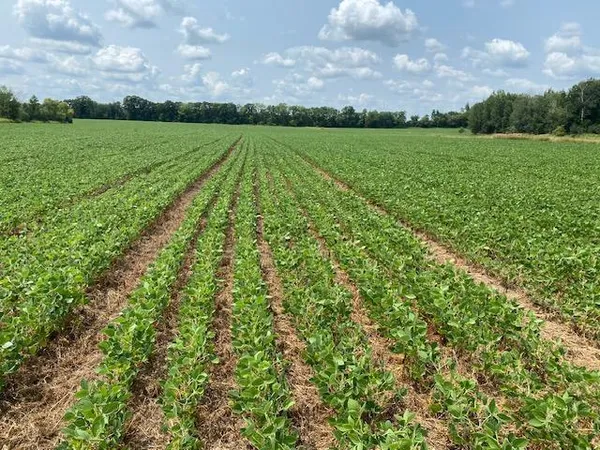 $170,000 | Tbd 160th Street, Foreston, MN 56330