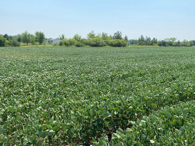 Tbd 160th Street Foreston, MN 56330 - Photo 2 of 6