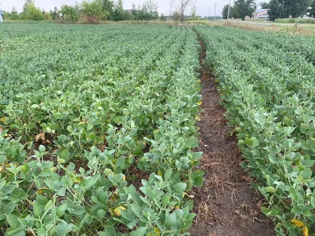 $180,000 | Tbd 160th Street, Foreston, MN 56330