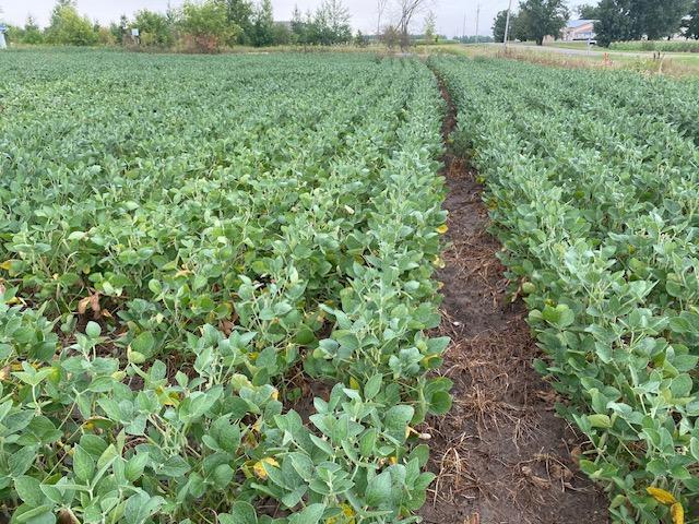 Tbd 160th Street Foreston, MN 56330 - Photo 3 of 6