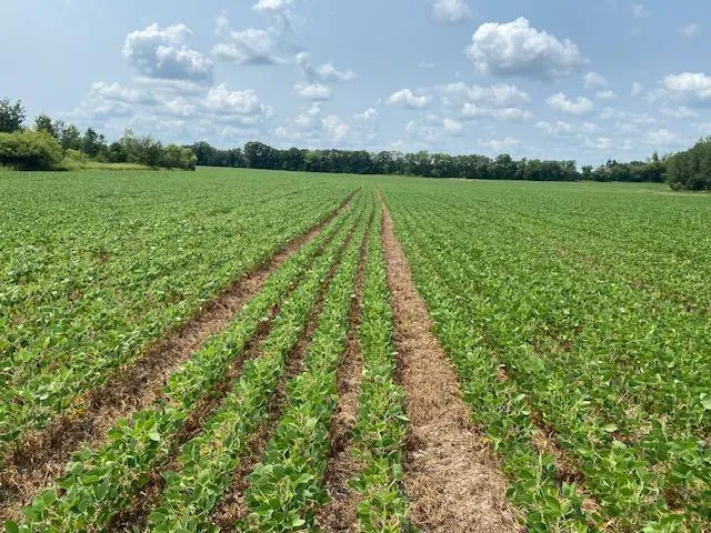 $180,000 | Tbd 160th Street, Foreston, MN 56330