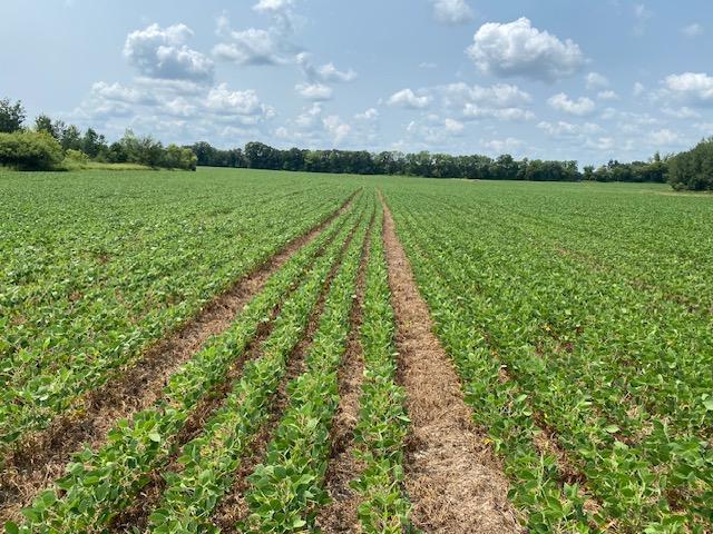 Tbd 160th Street Foreston, MN 56330 - Photo 5 of 6