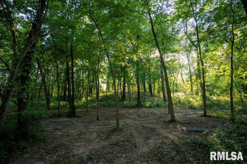 757 Witwer Road Winchester, IL 62694 - Photo 38 of 60