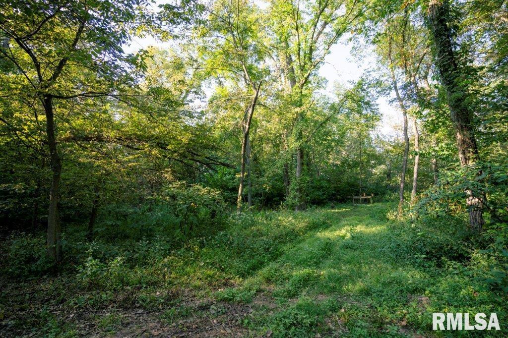 757 Witwer Road Winchester, IL 62694 - Photo 39 of 60