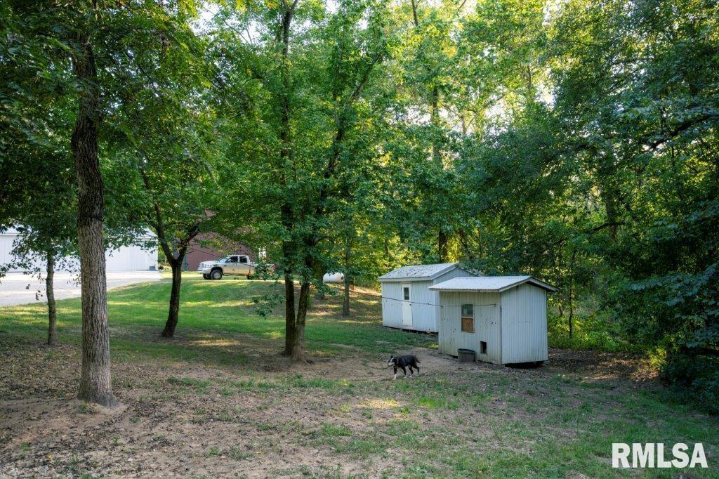757 Witwer Road Winchester, IL 62694 - Photo 42 of 60