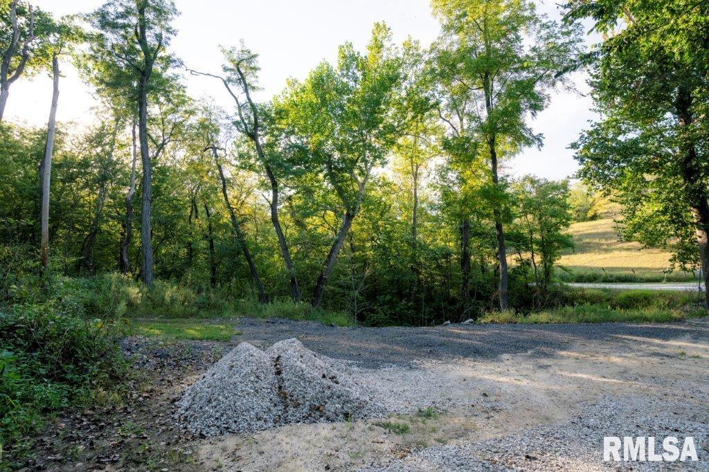 757 Witwer Road Winchester, IL 62694 - Photo 46 of 60