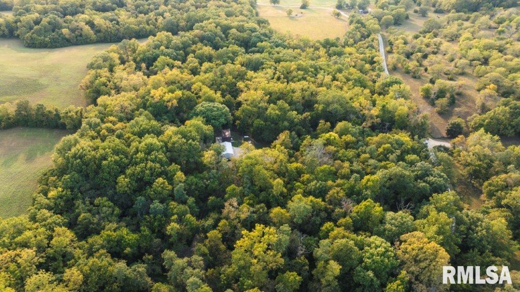 757 Witwer Road Winchester, IL 62694 - Photo 54 of 60