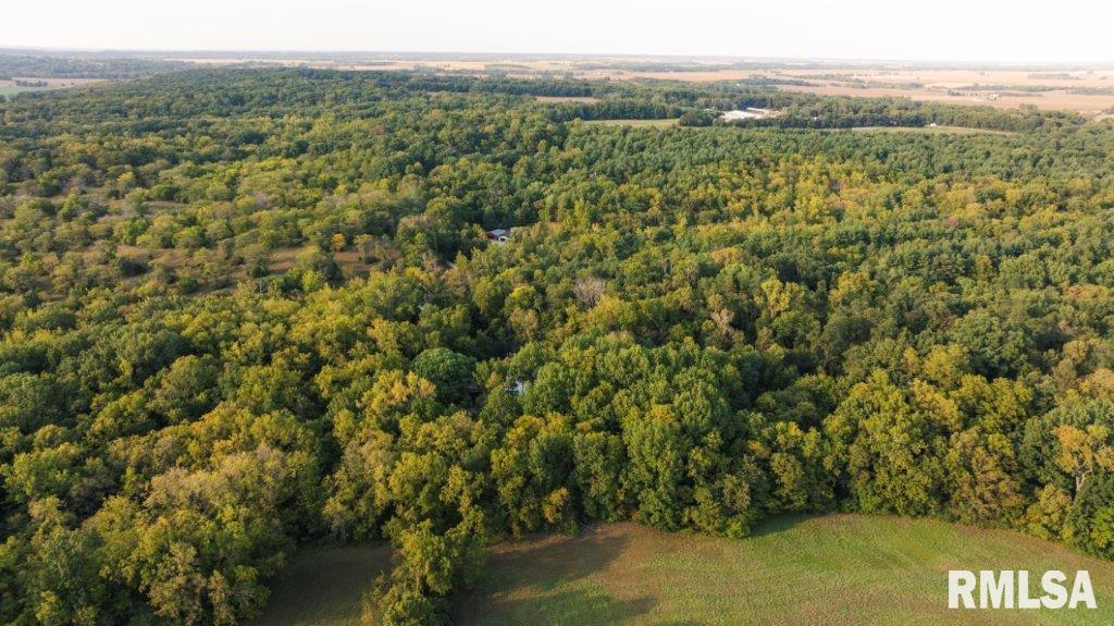 757 Witwer Road Winchester, IL 62694 - Photo 55 of 60