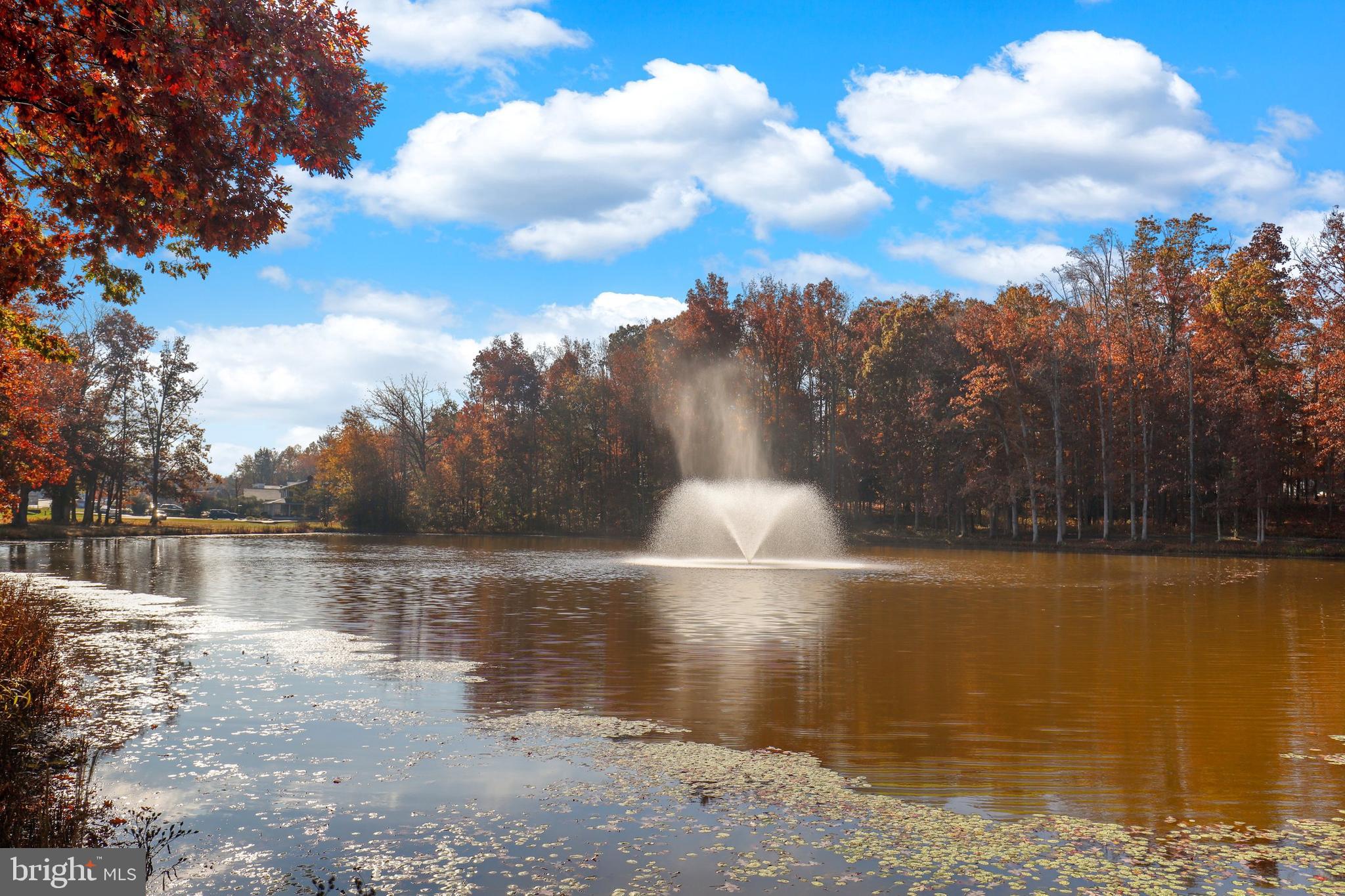 207 Spotswood Road Locust Grove, VA 22508 - Photo 43 of 59