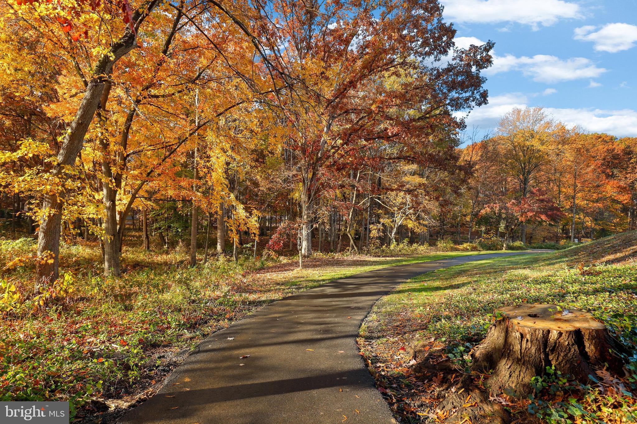 207 Spotswood Road Locust Grove, VA 22508 - Photo 45 of 59