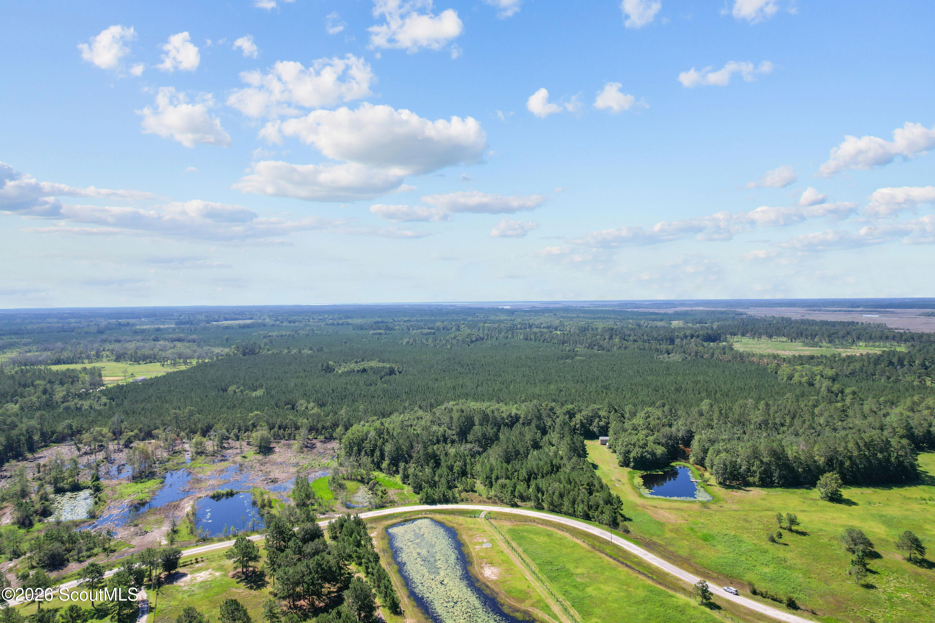 0 Waverly Farms Road Waverly, GA 31565 - Photo 5 of 16 DJI_0349