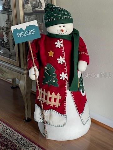 42 Seminole Path Wildwood, FL 34785 - Photo 4 of 59