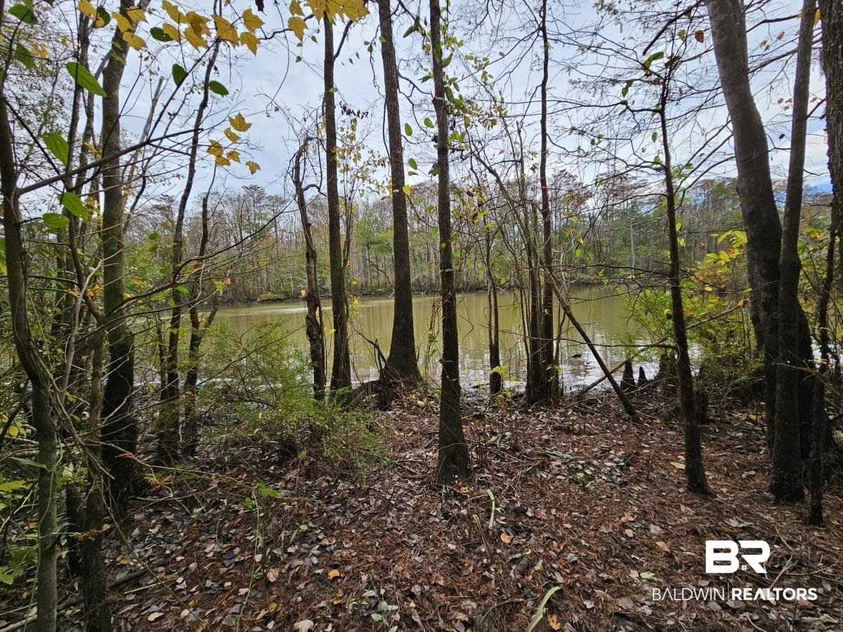 8515 Club House Road Bay Minette, AL 36507 - Photo 4 of 19