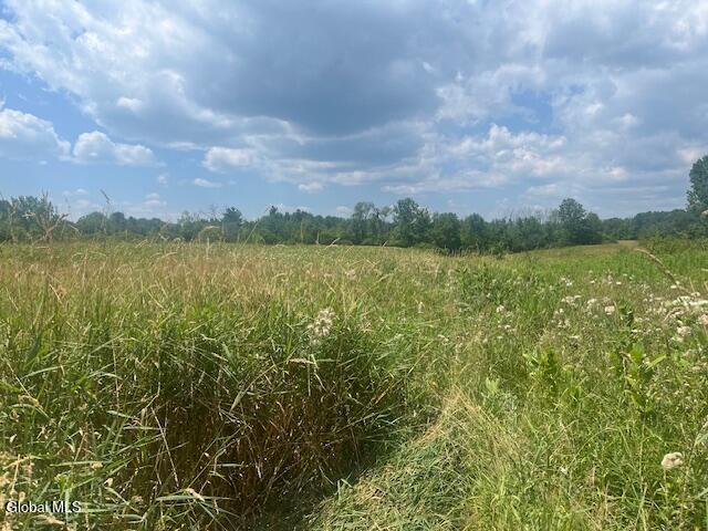 270 Clove Road Schodack, NY 12033 - Photo 3 of 5 fields