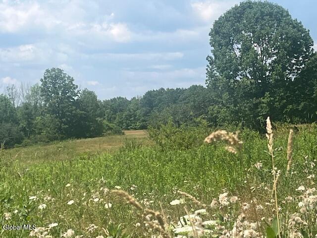 270 Clove Road Schodack, NY 12033 - Photo 5 of 5 fieldstrees