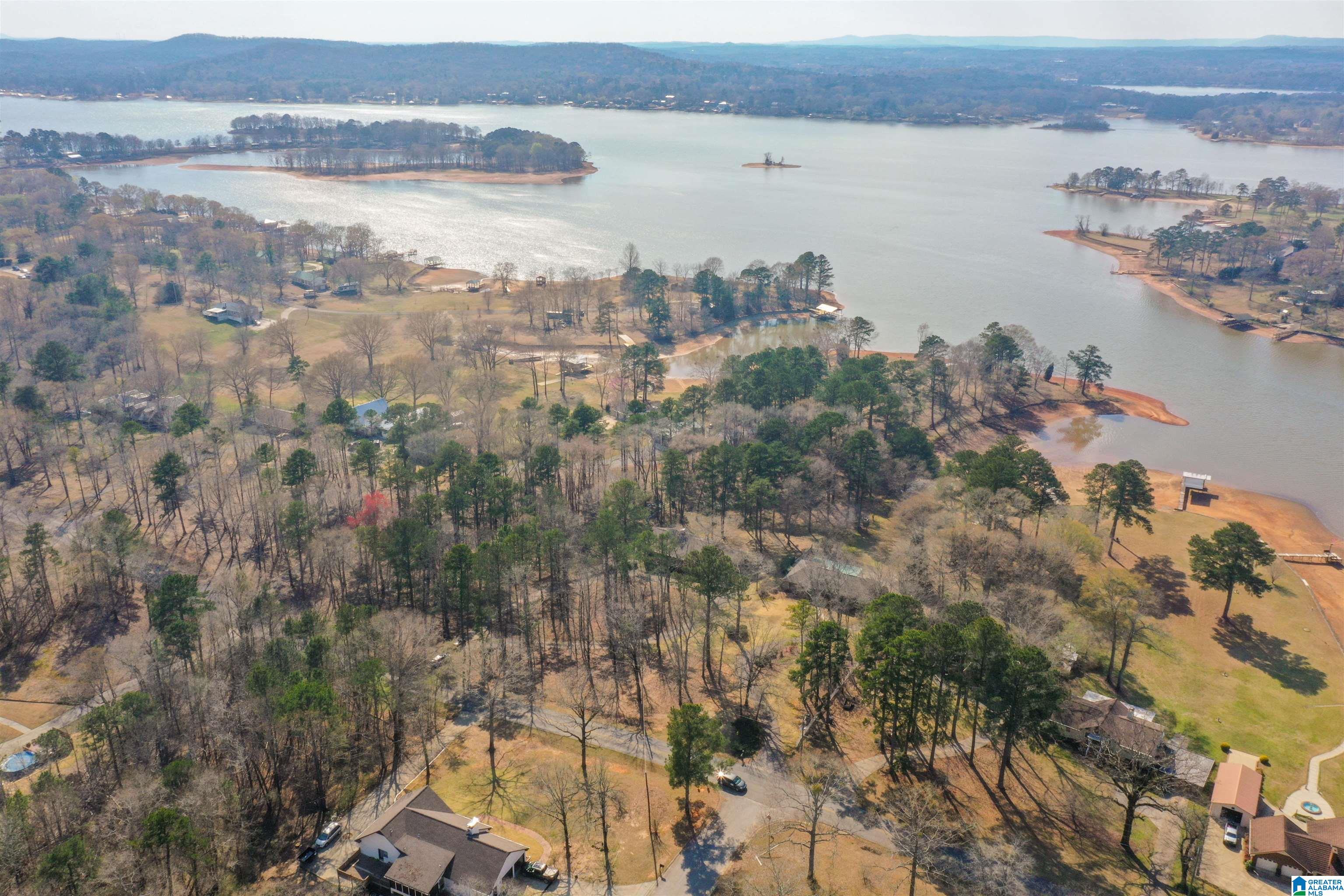 1600 Funderburg Bend Road Pell City, AL 35128 - Photo 3 of 49