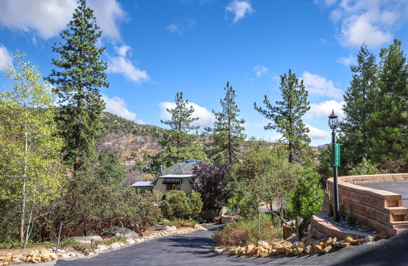 53599 West Ridge Road Idyllwild, CA 92549 - Photo 2 of 49 a view of a backyard with plants and a patio