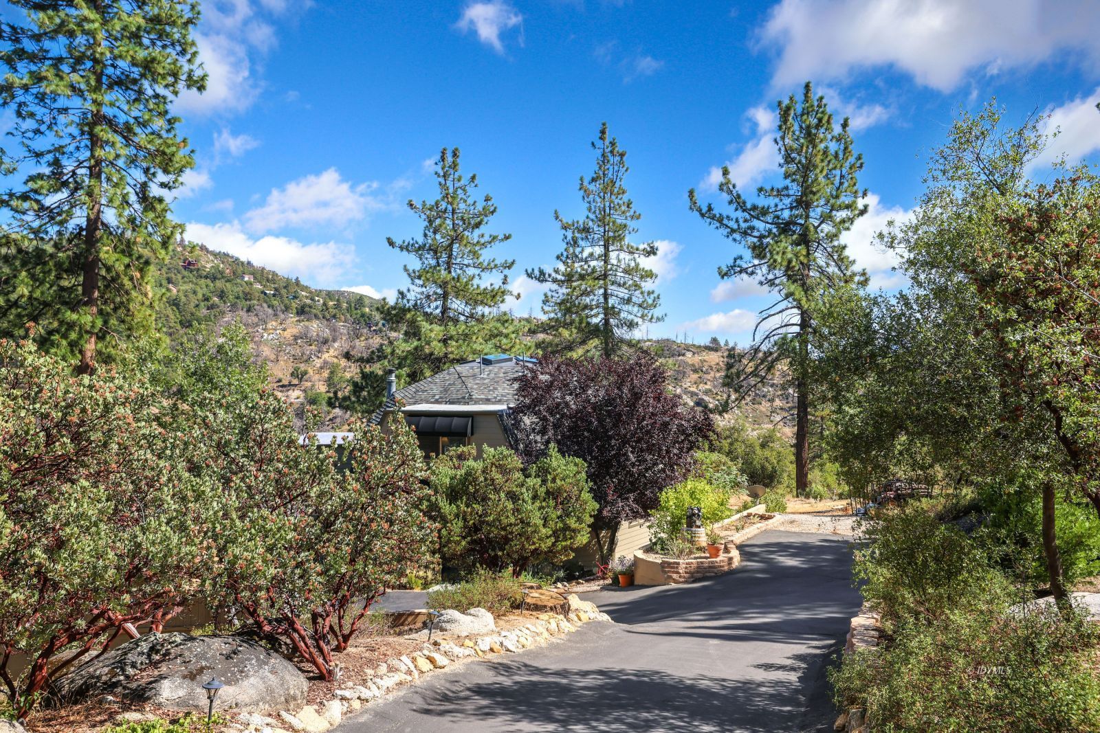53599 West Ridge Road Idyllwild, CA 92549 - Photo 3 of 49 a view of a yard with plants and trees