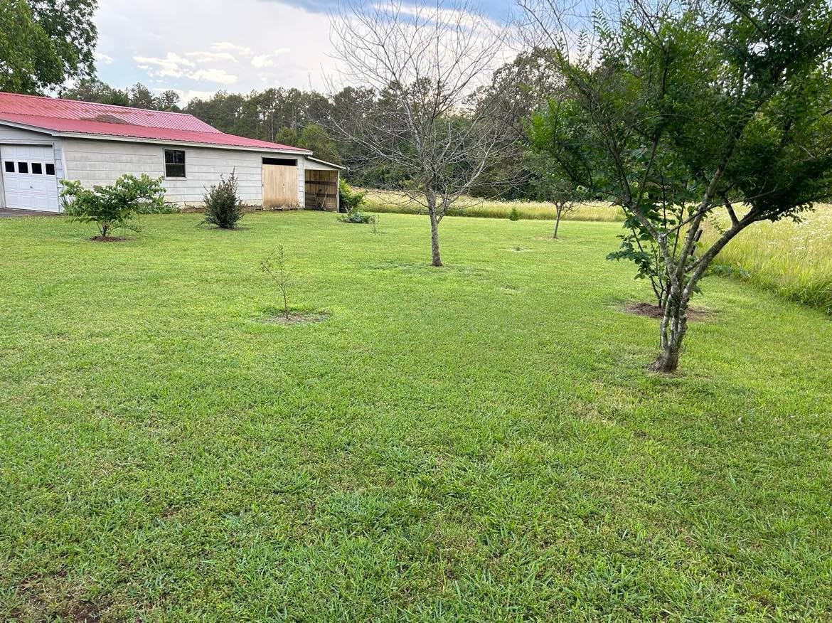 2245 Pleasant Springs Road Henderson, TN 38340 - Photo 14 of 18 Photo 14
