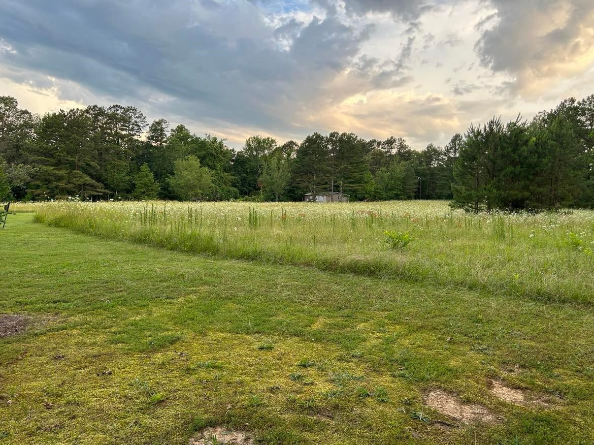 2245 Pleasant Springs Road Henderson, TN 38340 - Photo 15 of 18 Photo 15