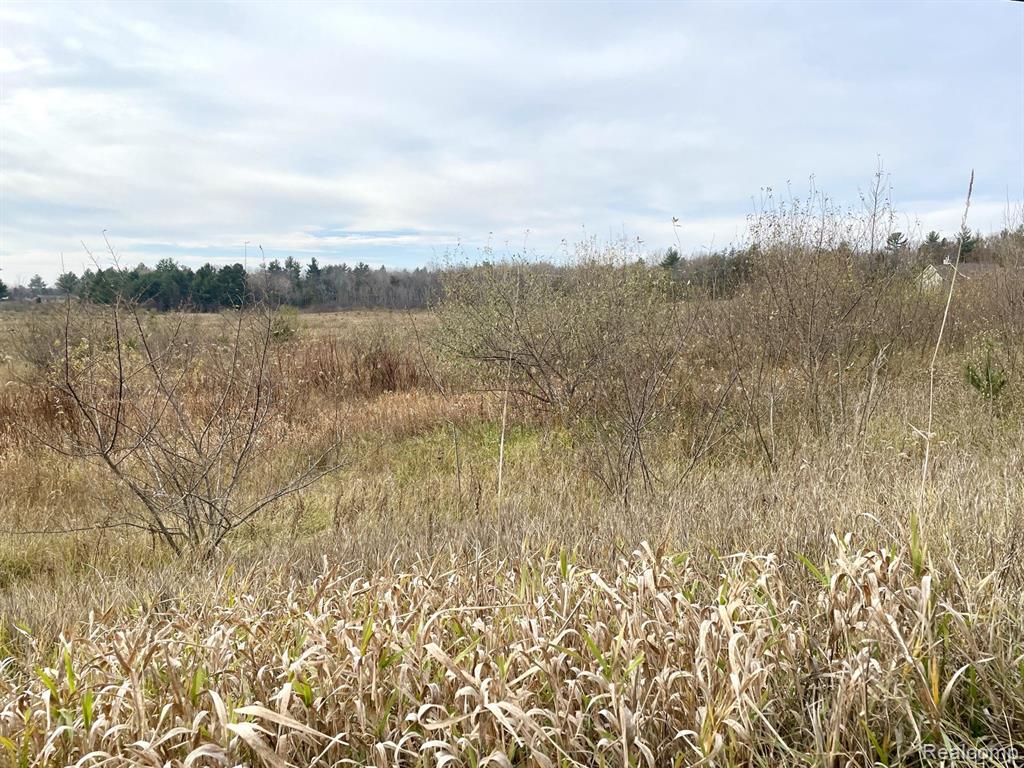 3 Maes Road West Branch, MI 48661 - Photo 1 of 6