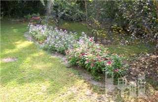 865 Arvida Spur Road Rocky Point, NC 28457 - Photo 7 of 9 Additional Photo