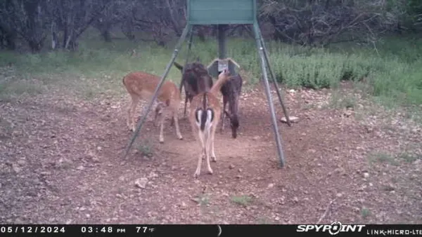 $1,350,000 | 419 Yellowstone Lane, Hunt, TX 78024