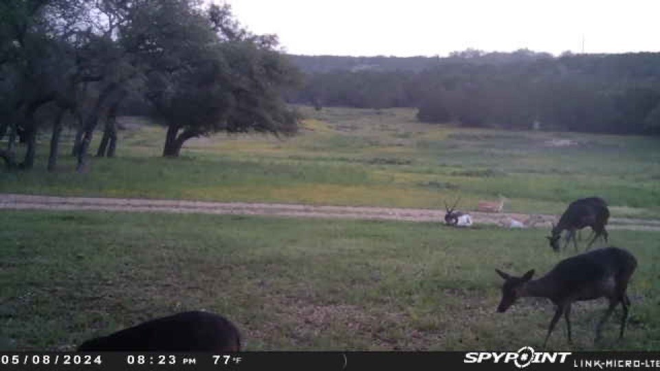 419 Yellowstone Lane Hunt, TX 78024 - Photo 12 of 73