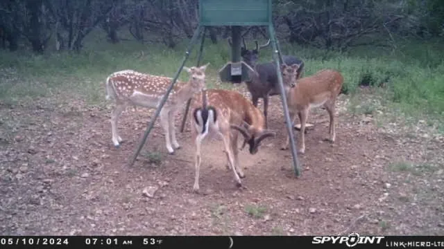 $1,350,000 | 419 Yellowstone Lane, Hunt, TX 78024